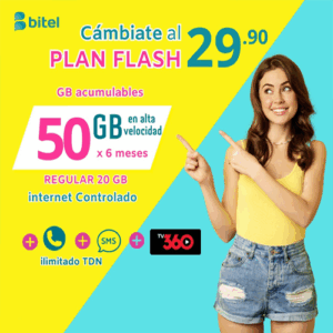 Chip Flash 50Gb